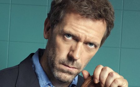 Hugh Laurie issues an apology for 'drunken' outburst at fan over House episode criticism as he says trolls have called him a 'thin-skinned t**t' and insists 'I was sticking up for the writers I adore'
