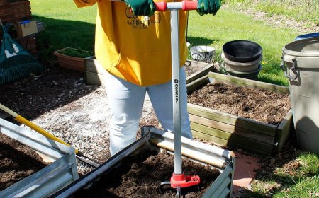 5 gadgets I'm buying this summer to grow my green thumb (and they're discounted)