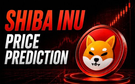 Shiba Inu Price Prediction: Pepeto Presale Pulls Record Capital as 1.1 Trillion SHIB Exit Binance