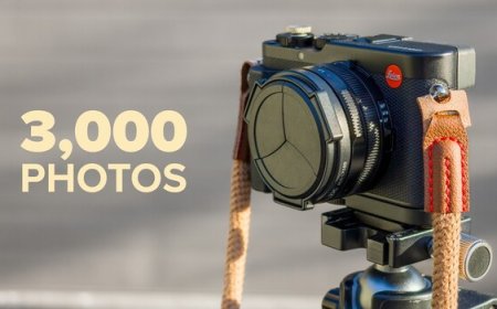 The Leica D-Lux 8 After 18 Months and 3,000 Shots