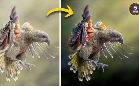 How to Make Your Subject Pop Using Lightroom and Photoshop