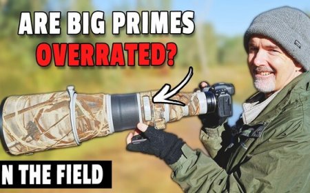 The Real Reason Wildlife Shooters Switch From Primes to Zooms