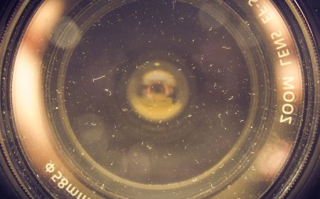 No Matter How Careful You Are, You Will Get Dust Inside Your Camera