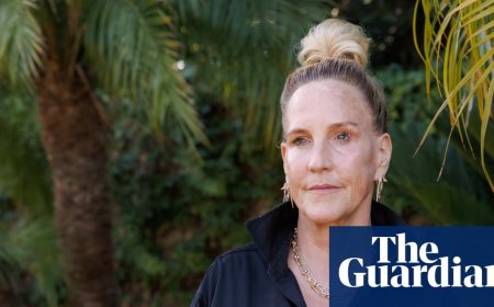 ‘We’re up against forces that have all the money in the world’: Erin Brockovich on her battle against AI datacentres