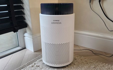 ‘Clean your air without spending a fortune’: I discover that this Coway air purifier’s tremendous filtering is well worth its low price — as long as you don’t mind its lack of smarts