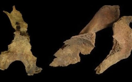 Did Iron Age Britons remove brains of the dead?