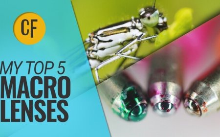 The 5 Best Macro Lenses You Can Buy Right Now, According to One Photographer Who's Tested Them All