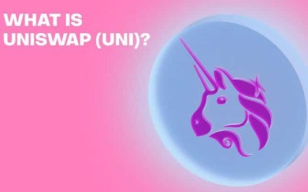 Uniswap network activity surges as whale transactions hit 7-month high