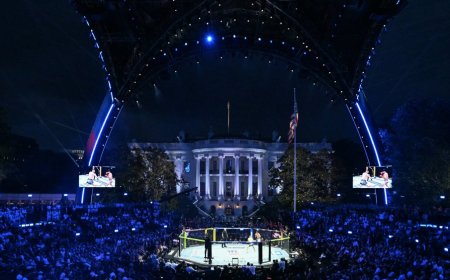 With UFC Freedom 250 at the White House, Trump Has Reached Peak ‘Idiocracy’