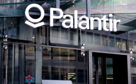 Palantir's NHS data deal called in for a second opinion