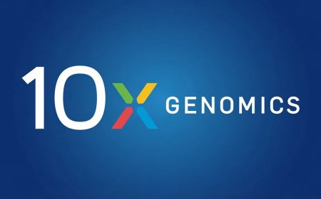 10X Genomics (TXG) Stock Surges 4% Following Cleveland Clinic Bladder Cancer Research Agreement