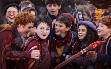 6 Confirmed Harry Potter TV Characters Who Weren't In The Movies