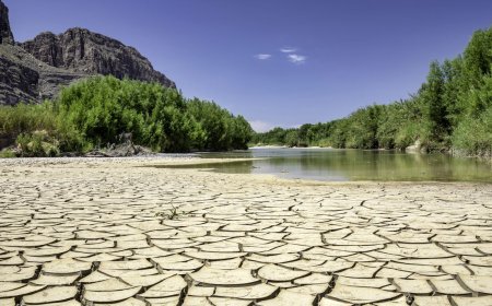 Project Jupiter AI data center build raises concerns about water usage in rural New Mexico desert — Oracle calls water usage 'negligible' for 11 million gallon one-time fill