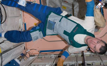 Cosmonaut Aleksandr Samokutyaev, 56, is first former ISS crew member to die