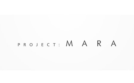 Ninja Theory cancels psychological horror game Project Mara