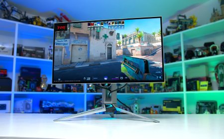 The Best OLED Gaming Monitors 2026