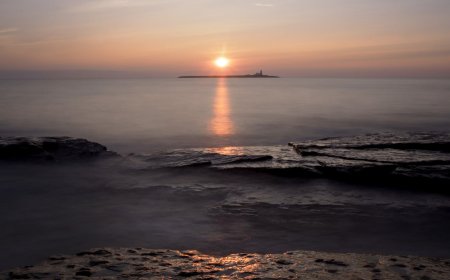 Giving Your Photography a New Perspective
