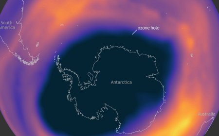 Ozone loss was a thing even before CFCs were widely used