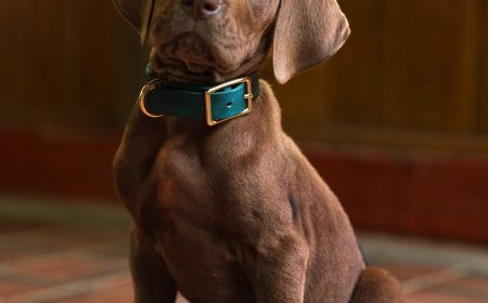 Scooby-Doo Fans Are Divided Over First Look at Live Action Remake