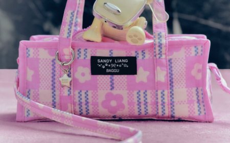 The Highly Anticipated Sandy Liang x Baggu Collab Is Finally Here!