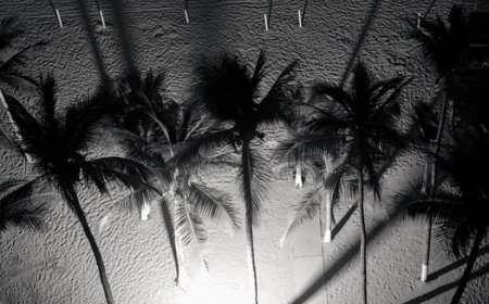 The Problem With Paradise