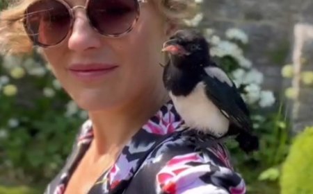 Ladies of London’s Martha Sitwell Shares Her Pet Bird Hecate Drowned