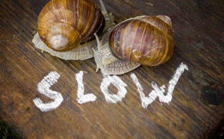 'It would be good for the world' to slow down AI sprints, Anthropic says