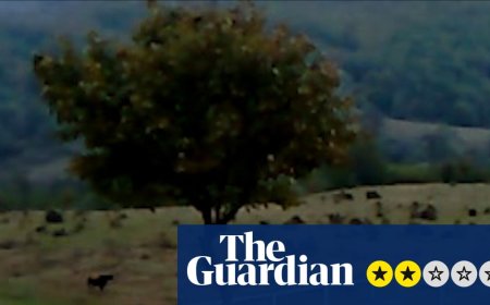 Dry Leaf review – three-hour amble around the football pitches of Georgia in search of a daughter