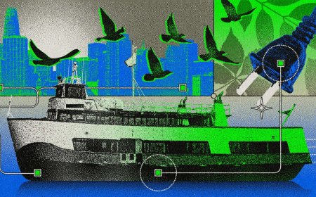 So Long, ‘Ferrynoia.’ Green Maritime Technology Is Here