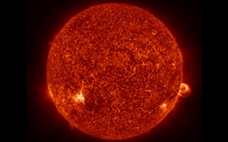 Good news—we have extra time before the Sun ends life on Earth