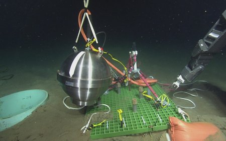 After Senate vote, Trump admin backs off plans to kill ocean monitoring