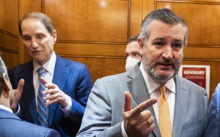 Ted Cruz and Ron Wyden try to fight censorship with bipartisan JAWBONE Act