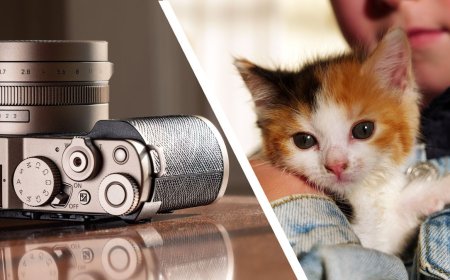 I took over 1,000 photos and videos with the gorgeous Panasonic Lumix L10 — these are my favorites, and they really show off what the premium compact can do (and yes, there are cute kittens)