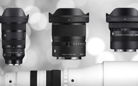 Save Big on Sigma Lenses From Wide-Angle to Super Telephoto