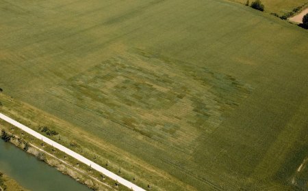 Artist Farms World’s Largest Living Photograph That’s Visible Only From the Sky