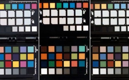 One of the Most Comprehensive Looks at Film Color Science