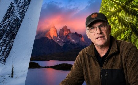 The Case Against Chasing Epic: Why Your Local Forest Might Be Your Best Subject