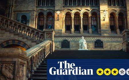 How to Live on Earth review – Benedict Cumberbatch exudes positivity in response to the climate crisis