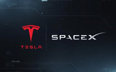 ARK Invest Unloads Roku Stake While Increasing Tesla (TSLA) and SpaceX Holdings