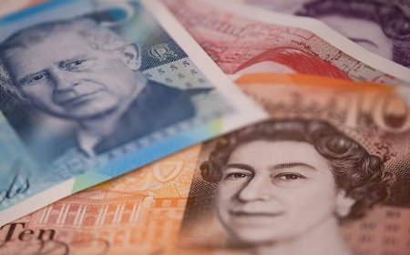 GOV.UK goes Dutch on payments as it dumps Stripe