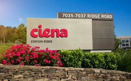 Why Ciena (CIEN) Stock Tumbled Despite Crushing Q2 Earnings Expectations