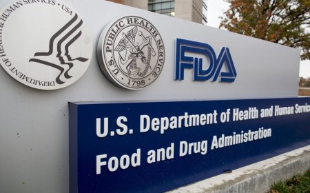 "Truly evil" FDA rejection of gene therapy overturned after Trump official ousted