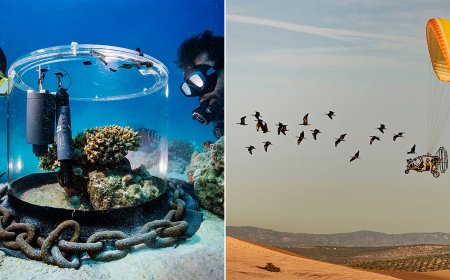 5 Powerful Photos Show Scientists at Work in the Sea, Sky, and Lab