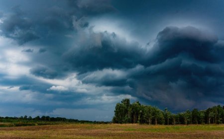 5 disaster-prep tips I've learned after decades of bushcrafting