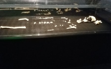 Every Homo naledi we know of is female, and the implications are fascinating