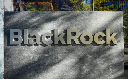 BlackRock Records First Bitcoin ETF Inflow in 13 Days