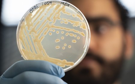Some ancient microbes frozen with Ötzi the Iceman are still growing