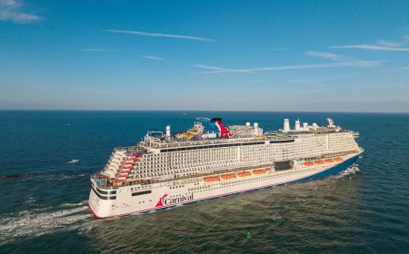 Carnival (CCL) Stock Drops Despite Earnings Win as Sales Fall Short of Targets