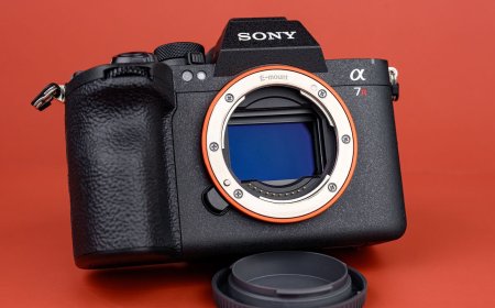 The Sony a7R VI Has the Best Dynamic Range of Any Full-Frame Camera
