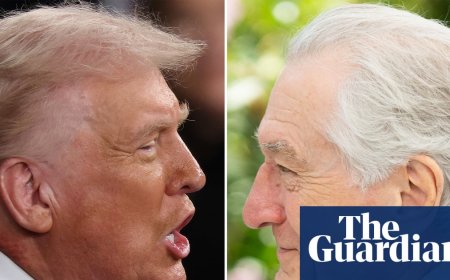 ‘Loving our country sounds like an abused spouse saying they love their abuser’: Robert De Niro leads crowd in rallying cry against Trump